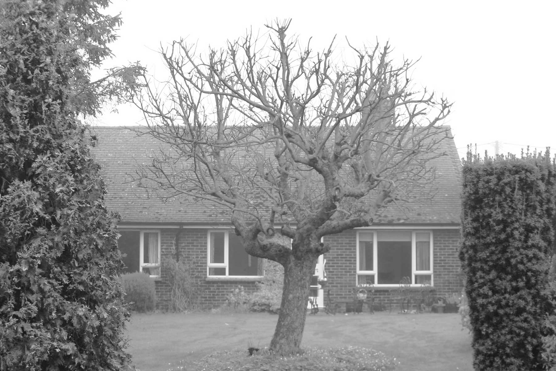 bungalow-reconstruction-1 before