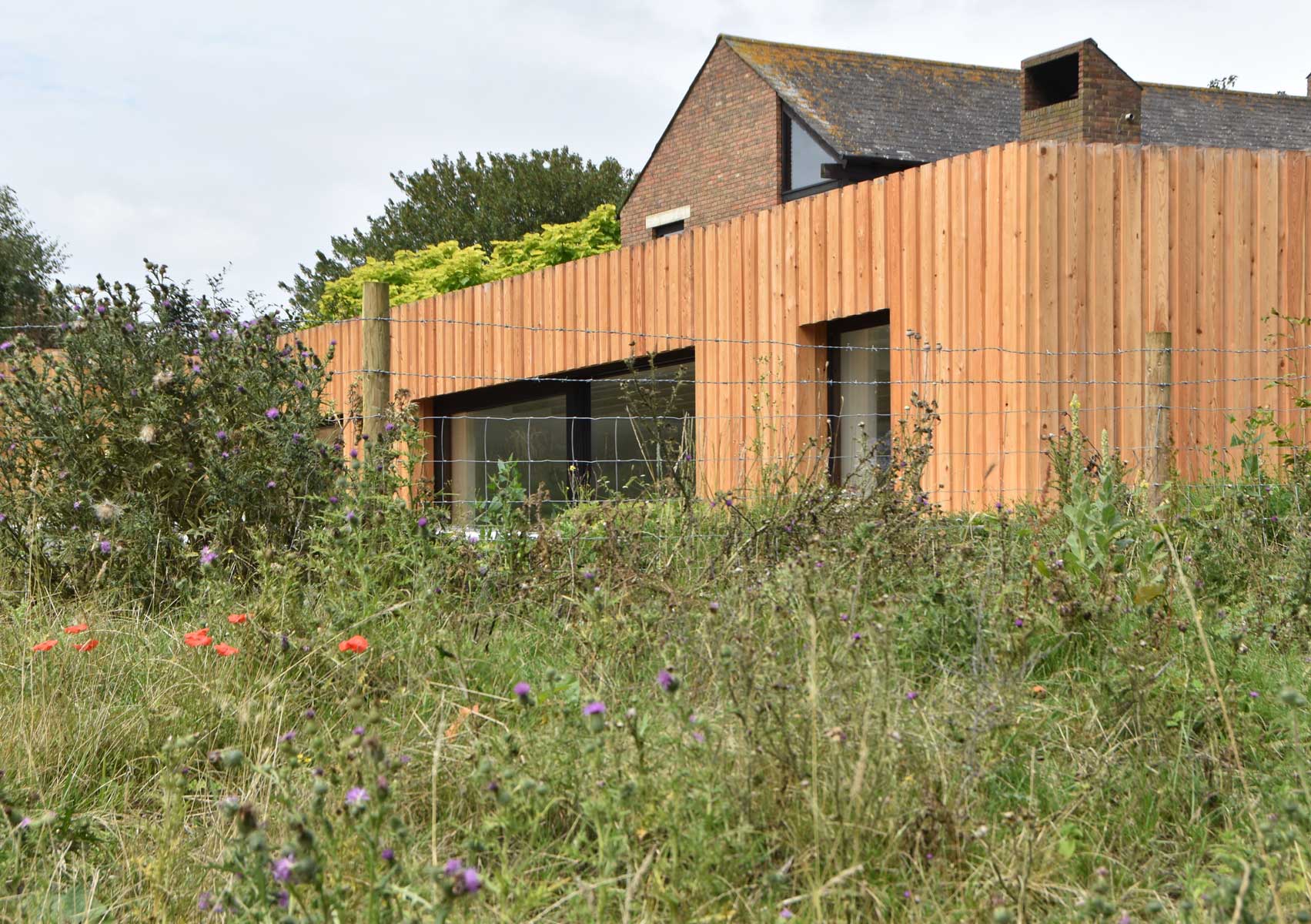 Semi-underground dwelling 